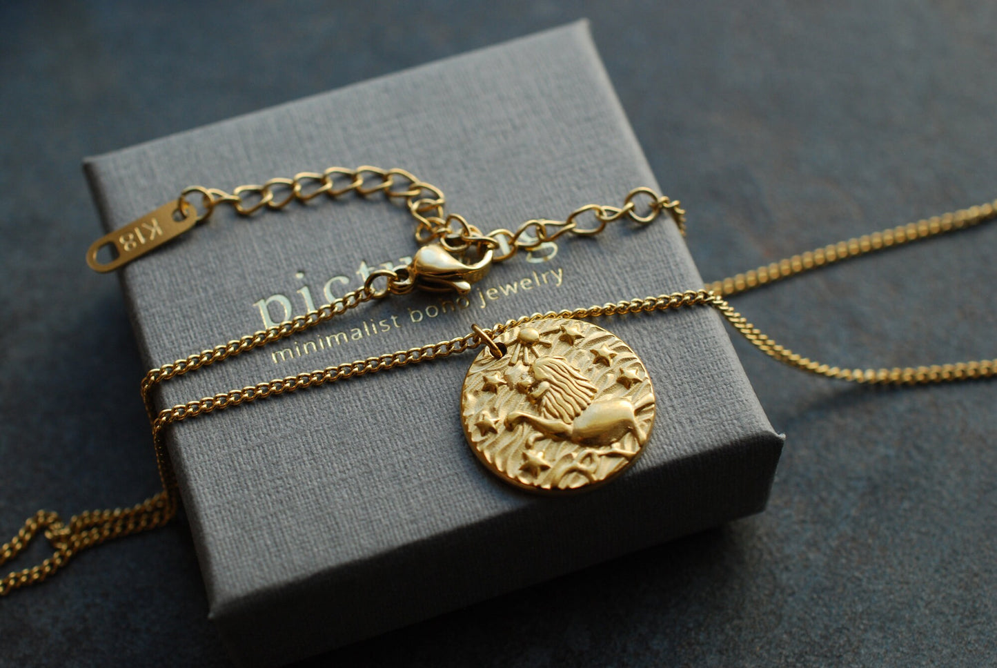 Löwen-Kette Münze . 18 kt vergoldetes Edelstahl . Minimalistische Kette . Boho-Kette