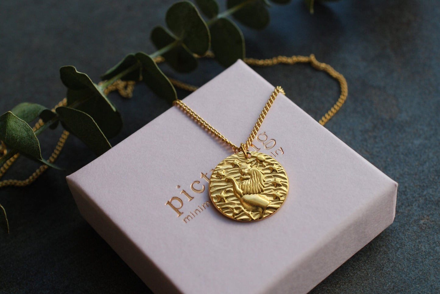 Löwen-Kette Münze . 18 kt vergoldetes Edelstahl . Minimalistische Kette . Boho-Kette