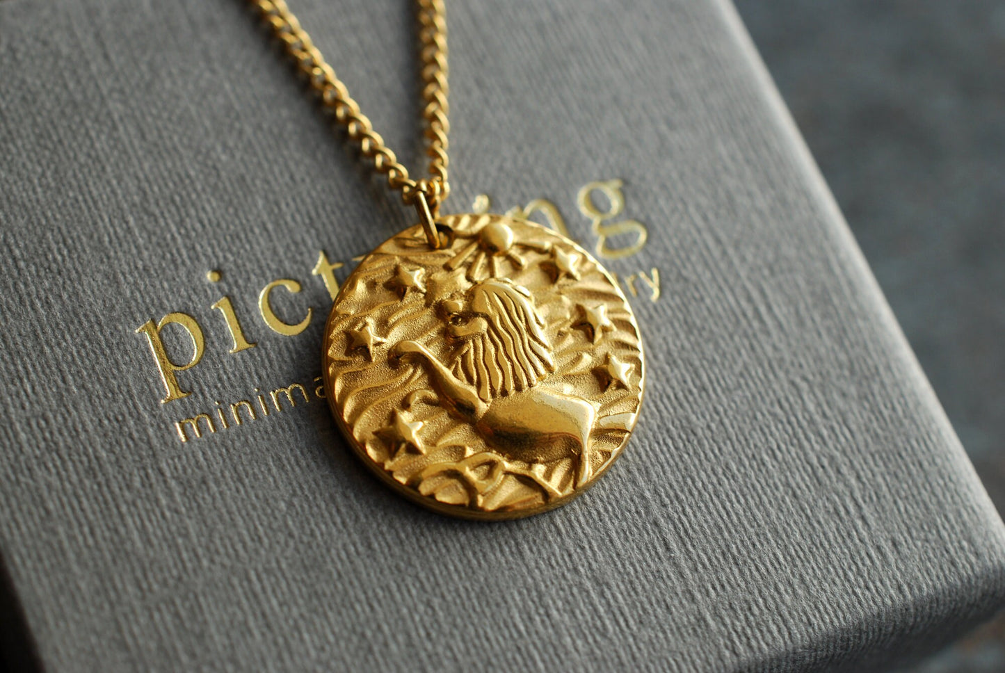 Löwen-Kette Münze . 18 kt vergoldetes Edelstahl . Minimalistische Kette . Boho-Kette