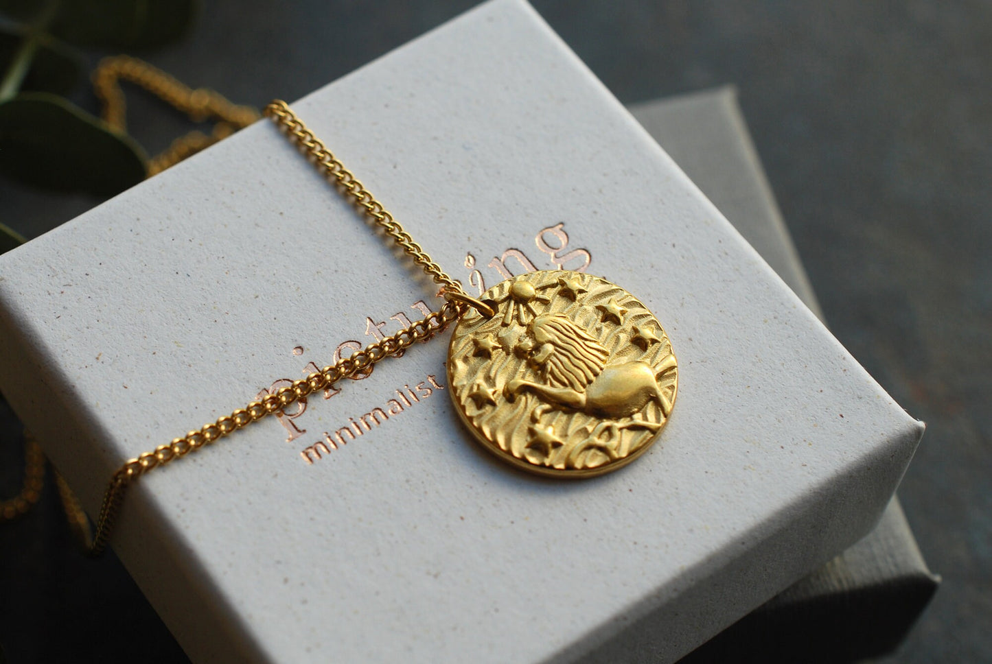 Löwen-Kette Münze . 18 kt vergoldetes Edelstahl . Minimalistische Kette . Boho-Kette