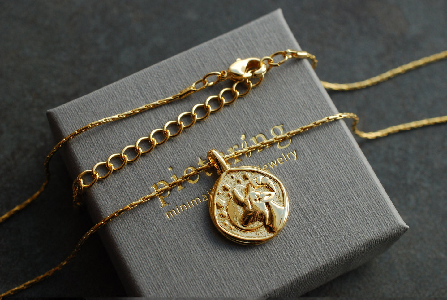 Sternzeichen-Münzen-Kette . 16 kt vergoldet . personalisiertes Geschenk . Vintage-Stil-Kette . Himmlischer Schmuck